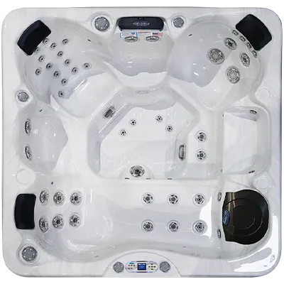 Avalon EC-849L hot tubs for sale in Seattle