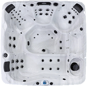 Avalon EC-867L hot tubs for sale in hot tubs spas for sale Seattle