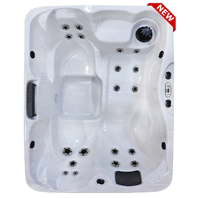 Kona PZ-519L hot tubs for sale in hot tubs spas for sale Seattle