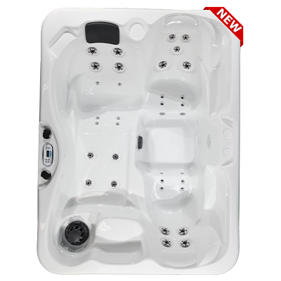 Kona PZ-535L hot tubs for sale in hot tubs spas for sale Seattle