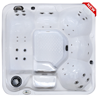 Hawaiian PZ-636L hot tubs for sale in hot tubs spas for sale Seattle